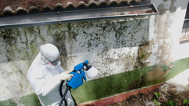 Top rated local Attic Mold Remediation specialists in Cofield, NC